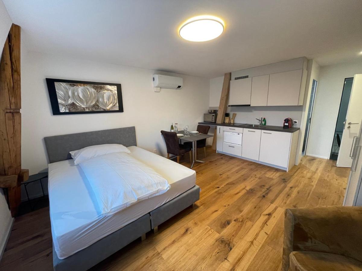 Schnyder's Studio_2 Apartamento Rapperswil-Jona